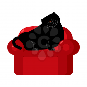Fat Black cat on red armchair. Home pet on chair
