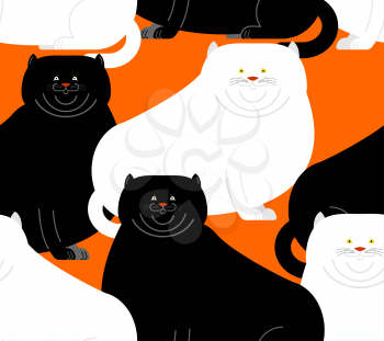 Fat white and black cat pattern. Big Thick pet home background

