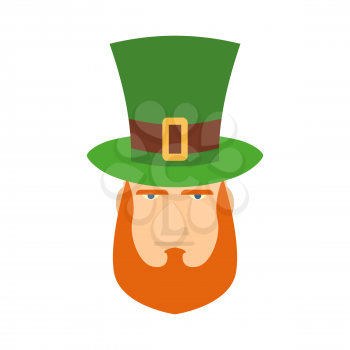 Leprechaun in green hat face. Head with Red beard. Portrait for St. Patricks Day celebration in Ireland
