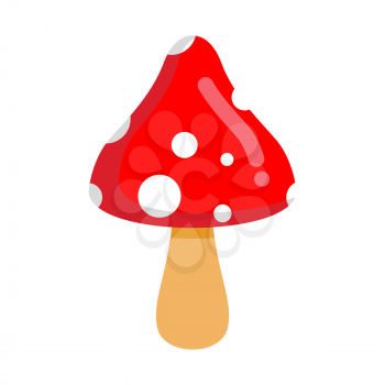 Amanita isolated. Poisonous mushroom with red hat
