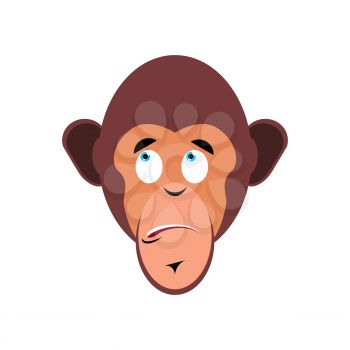 Monkey surprised Emoji. marmoset astonished emotion isolated. Chimpanzee face
