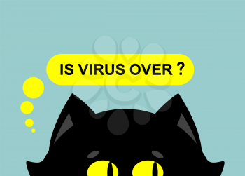 Is virus over? Cat in medical mask. Quarantine from coronavirus. Pandemic.