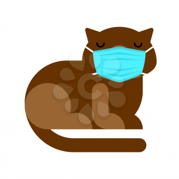 Cat in medical mask. Quarantine from coronavirus. Pandemic.