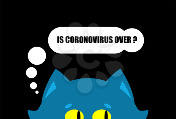 Is virus over? Quarantine is over. Cat in medical mask. Quarantine from coronavirus. Pandemic.