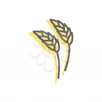 Rye ear line icon. wheat  Sign for production of bread and bakery. agriculture symbol
