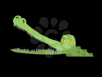 Crocodile in water. Alligator in river. Water reptile predator

