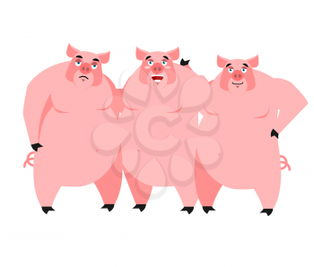 Three pig. Illustration for fairy tale. piglets on white background
