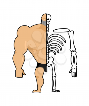 Human structure. Half  body and skeleton. anatomic illustration