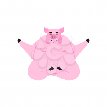 Yoga Pig. Piggy meditating isolated. Zen and relaxation. Farm animal Yogi
