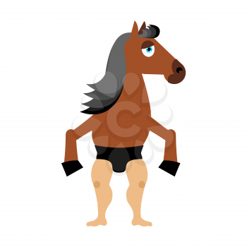 Centaur fairytale creature. Man horse isolated. Fantastic animal. Centaurus mythology beast monster
