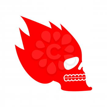 Skull fire. Head skeleton flame. flaming skull tattoo sign
