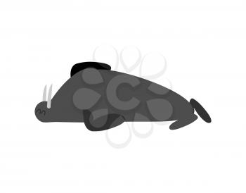 Sleeping walrus. seal Arctic animal sleeps. Sleepy wild beast
