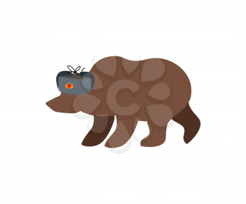 Russian bear in fur hat. Russia National wild animal
