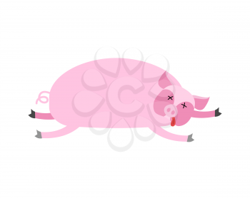 Dead pig. Farm animal is dead. Corpse of swine
