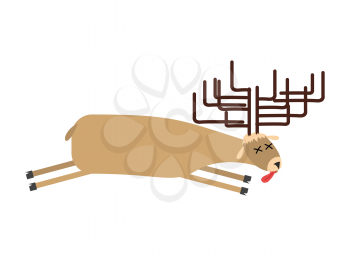 Dead moose. Deer is dead. Corpse of wild beast
