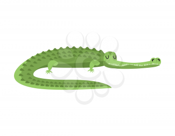 Sleeping crocodile. alligator is asleep. Sleepy wild reptile predator
