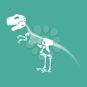 Skeleton dinosaur isolated. Dino Bones. Tyrannosaurus Skull. Prehistoric reptile  
