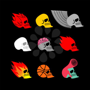 Skull set emblem. head of skeleton and fire logo. Basketball and brains.
