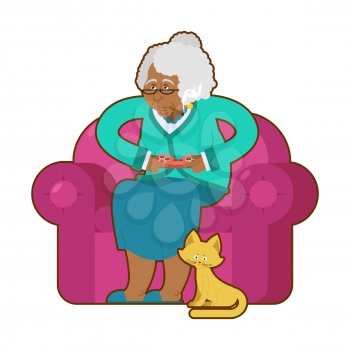African American grandmother and joystick. Black granny play video games. old woman on an armchair with gamepad. Cat and elderly woman
