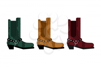 Cowboy boots Set. Australia shoes made crocodile skin 