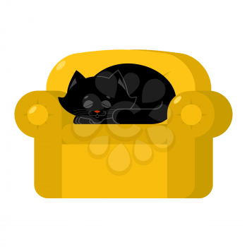 Black cat on yellow armchair. Home pet on chair
