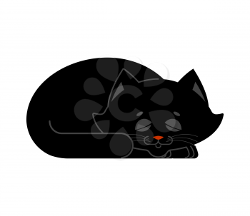 Sleeping cat black isolated. kitten be asleep. sleep pet
