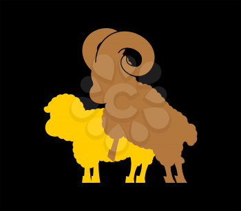 Sheep sex. Fasrm animal intercourse. Animals reproduction
