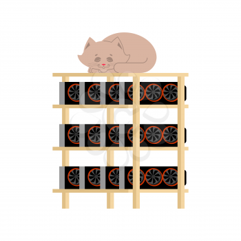 Mining farm and cat. Home pet sleeps on Mining rig. Crypto currency at home. Extraction of virtual money. Vector illustration