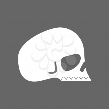 Skull profile isolated. head of skeleton. Vector illustration
