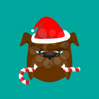 Santa dog and candy cane. Christmas home pet. Xmas bulldog. new year vector illustration