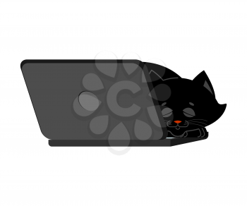 Cat and laptop. Home pet and keyboard. Does not work. Vector illustration
