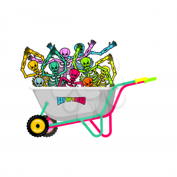 Day of the Dead Wheelbarrow and skeleton. Skull in garden trolley. mexican holiday Vector Illustration
