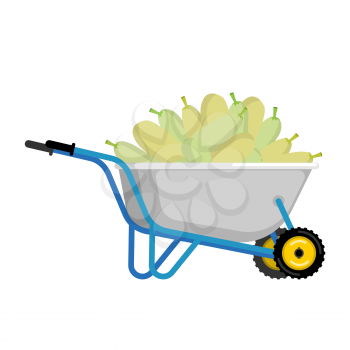 Wheelbarrow and zucchini. vegetables in garden trolley. big harvest Vector Illustration