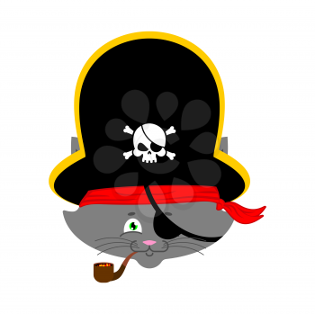 Cat pirate. Home pet buccaneer. filibuster hat and smoking pipe. Vector illustration.

