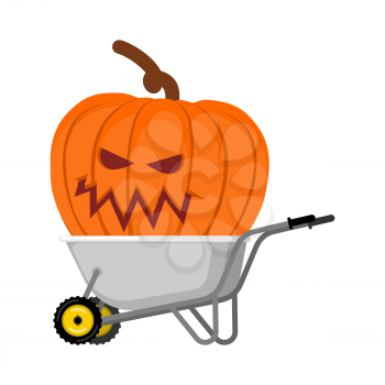 wheelbarrow Halloween. big terrible pumpkins. Vintage pumpkin. Vector illustration
