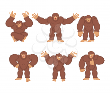 Bigfoot set poses and motion. Yeti happy and yoga. Abominable snowman sleeping and angry. Monster guilty and sad. Vector illustration

