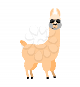 Cool Lama Alpaca serious. Animal smoking cigar emoji. Beast strict. Vector illustration