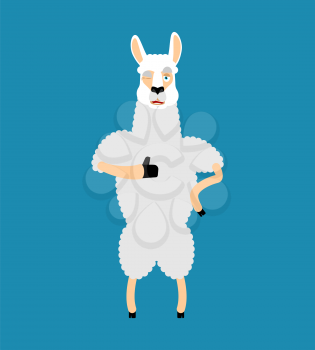 Lama Alpaca thumbs up and winks emoji. Animal happy emoji. Vector illustration