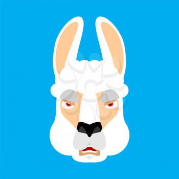 Lama Alpaca angry face avatar. Animal evil emoji. Vector illustration
