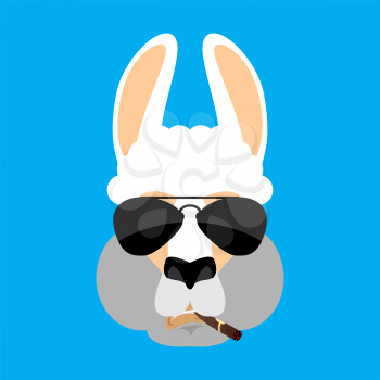 Cool Lama Alpaca serious face avatar. Animal smoking cigar emoji. Beast strict. Vector illustration