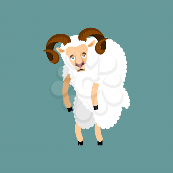 Ram sad. Sheep Farm animal sorrowful emoji. Vector illustration
