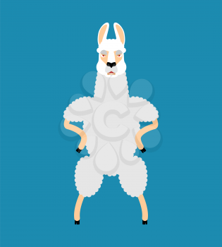 Lama Alpaca  Strong Cool serious. Animal smoking cigar emoji. Beast strict. Vector illustration