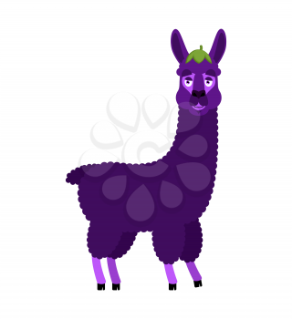 Lama Alpaca Eggplant. Purple animal. Vector illustration