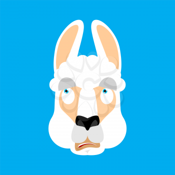 Lama Alpaca was confused emotions face avatar. Animal is perplexed. Beast surprise. Vector illustration
