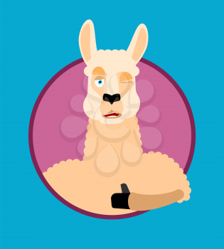 Lama Alpaca thumbs up and winks emoji. Animal happy emoji. Vector illustration