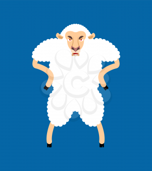 Sheep angry avatar of emotions. Ewe evil emoji. Farm animal aggressive. Vector illustration