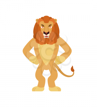 Lion angry. Wild animal evil emotions. Beast aggressive. Vector illustration