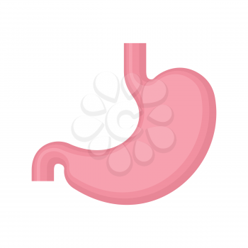 Stomach isolated. Belly icon. Internal organ sign. Vector illustration