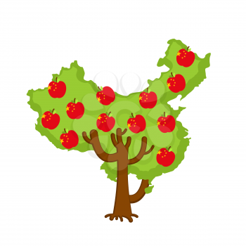 Patriotic apple tree China map. apples Chinese flag. National State Plant. Vector illustration