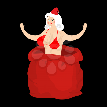 Santa girl stripper from open red bag. Christmas and New Year Vector Illustration

